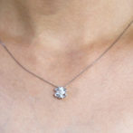 ミニクローバー装着画像