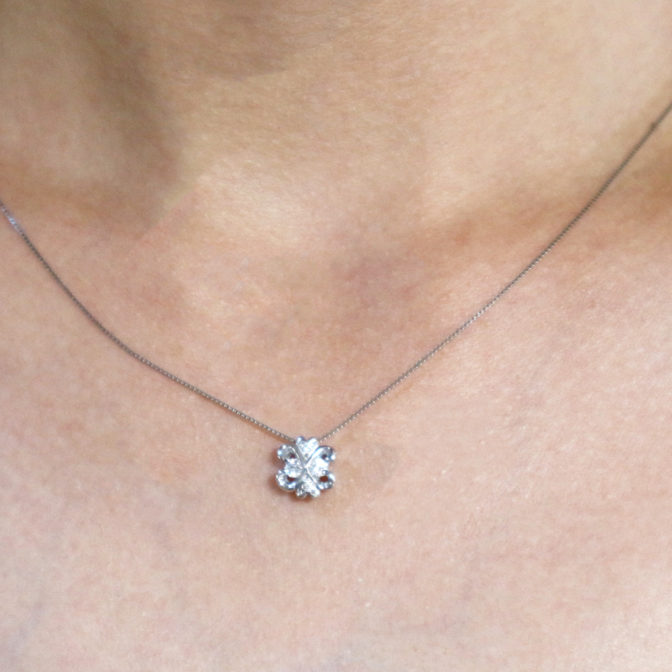 ミニクローバー装着画像